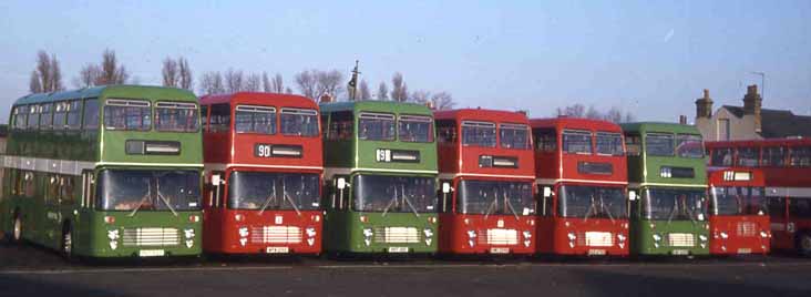 Bristol C5118, Eastern Counties VR201, West Riding 790, Bristol C5117, Oxford 479, Bristol, LH & Oxford H494